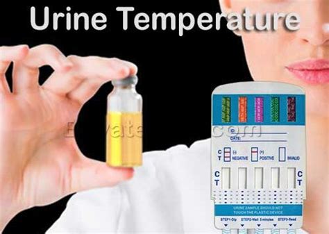 bottle warm to the touch drug test|urine temperature for drug test.